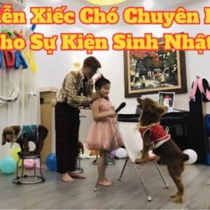 Biểu Diễn Xiếc Chó Chuyên Nghiệp Cho Sự Kiện – Sự Kiện Minh Hi Biểu diễn xiếc chó cho tiệc sinh nhật của bé tại nhà giao lưu với bé