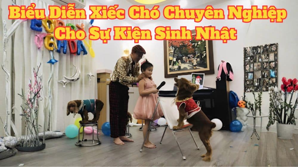 Biểu Diễn Xiếc Chó Chuyên Nghiệp Cho Sự Kiện – Sự Kiện Minh Hi Biểu diễn xiếc chó cho tiệc sinh nhật của bé tại nhà giao lưu với bé