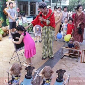 Dịch vụ biễu diễn xiếc chó mang đến sự hút và giữ chân khán giả cho sự kiện