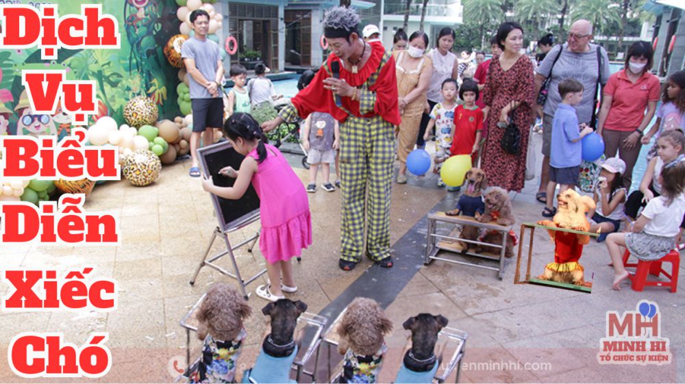 Biểu Diễn Xiếc Chó Chuyên Nghiệp Cho Sự Kiện – Sự Kiện Minh Hi Dịch vụ biễu diễn xiếc chó mang đến sự hút và giữ chân khán giả cho sự kiện