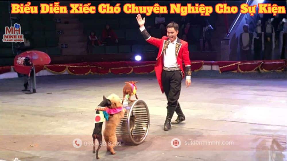 Biểu Diễn Xiếc Chó Chuyên Nghiệp Cho Sự Kiện – Sự Kiện Minh Hi Biểu diễn xiếc chó cho Tết Thiếu Nhi 1/6 với màn trình diễn đi thăng bằng trên bánh xe