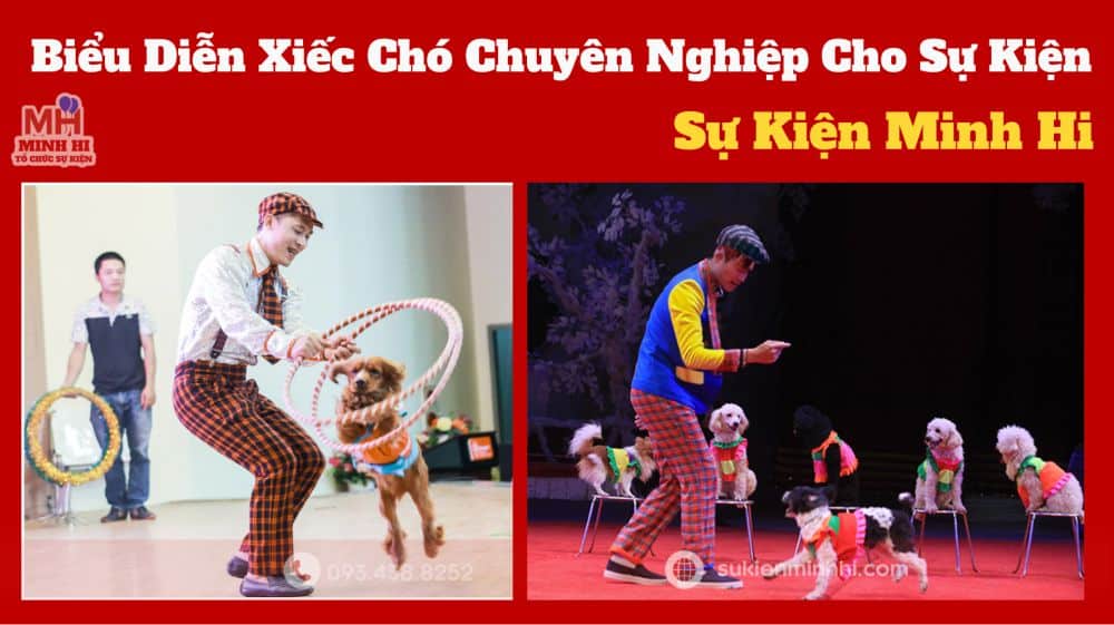 Biểu Diễn Xiếc Chó Chuyên Nghiệp Cho Sự Kiện – Sự Kiện Minh Hi Dịch vụ biễu diễn xiếc chó chuyên nghiệp cho sự kiện tại TPHCM do Sự Kiện Minh Hi cung cấp