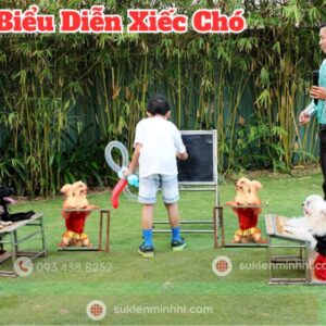 Biểu Diễn Xiếc Chó Chuyên Nghiệp Cho Sự Kiện – Sự Kiện Minh Hi Tiết mục xiếc chó với màn trình diễn làm toán – trả lời câu hỏi cực đáng yêu tại tiệc sinh nhật ngoài trời