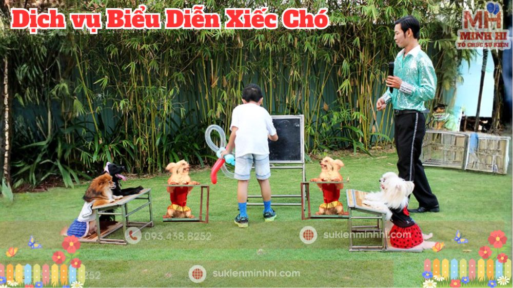 Biểu Diễn Xiếc Chó Chuyên Nghiệp Cho Sự Kiện – Sự Kiện Minh Hi Tiết mục xiếc chó với màn trình diễn làm toán – trả lời câu hỏi cực đáng yêu tại tiệc sinh nhật ngoài trời