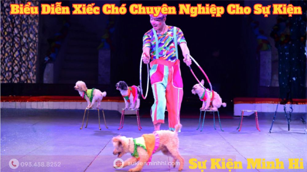 Biểu Diễn Xiếc Chó Chuyên Nghiệp Cho Sự Kiện – Sự Kiện Minh Hi Biểu diễn xiếc chó cho Tết Trung Thu với tiết mục nhảy vòng thú vị