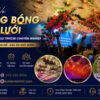 Dịch vụ bong bóng kéo lưới cho sự kiện tại TPHCM do Sự Kiện Minh Hi cung cấp trọn gói với đội ngũ chuyên nghiệp